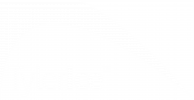 tyler-ice